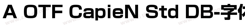 A OTF CapieN Std DB字体转换